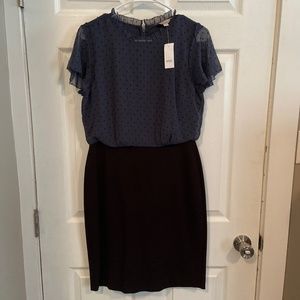 LOFT women’s work dress